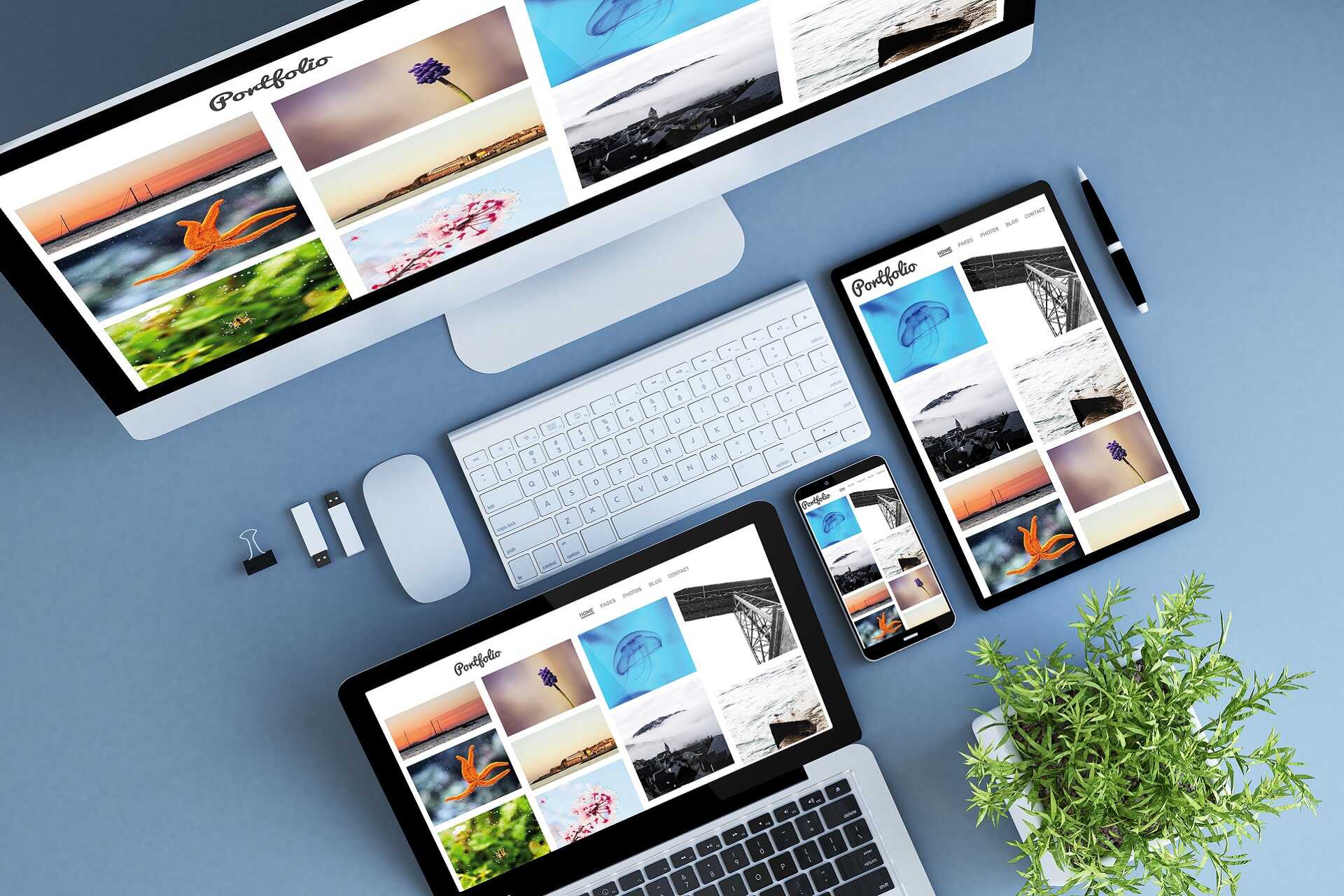 Portfolio Websites